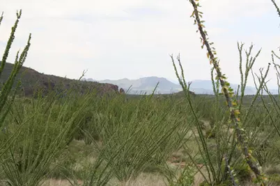 140 Tejano Springs Road #38.1, Tubac, AZ 85646 - Photo 9