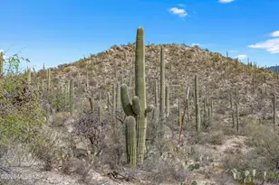 13716 E Placita Del Inca, Tucson, AZ 85749 - Photo 5