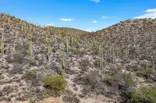 13716 E Placita Del Inca, Tucson, AZ 85749 - Photo 3