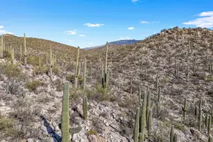 13716 E Placita Del Inca, Tucson, AZ 85749 - Photo 29