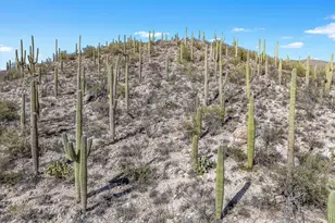 13716 E Placita Del Inca, Tucson, AZ 85749 - Photo 35