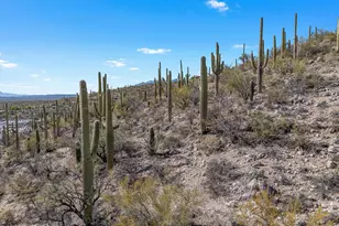 13716 E Placita Del Inca, Tucson, AZ 85749 - Photo 33