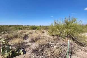 51 S Melpomene Way, Tucson, AZ 85748 - Photo 1