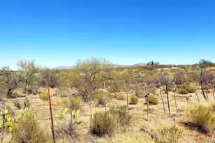 49300Blk E Panther Butte Rd, Saddlebrooke, AZ 85739 - Photo 1
