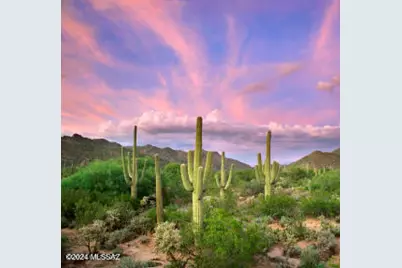 12725 N Sonoran Preserve Boulevard #Lot 10, Marana, AZ 85658 - Photo 35