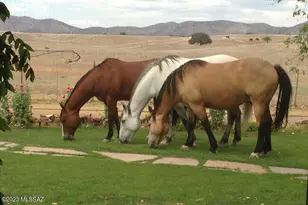 Tbd San Rafael Valley Rd, Patagonia, AZ 85624 - Photo 23