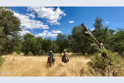 Tbd San Rafael Valley Road, Patagonia, AZ 85624 - Photo 13