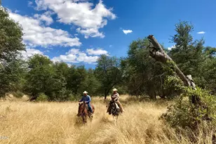Tbd San Rafael Valley Rd, Patagonia, AZ 85624 - Photo 13