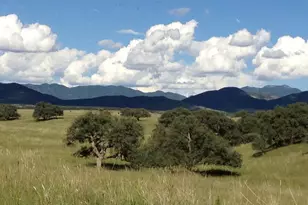 Tbd San Rafael Valley Rd, Patagonia, AZ 85624 - Photo 7