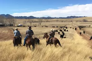 Tbd San Rafael Valley Rd, Patagonia, AZ 85624 - Photo 35