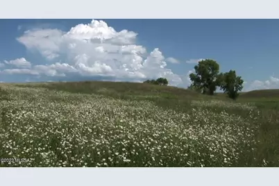 Tbd San Rafael Valley Road, Patagonia, AZ 85624 - Photo 19