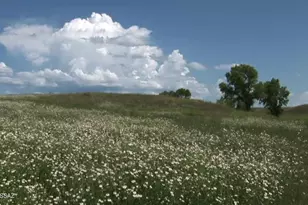 Tbd San Rafael Valley Rd, Patagonia, AZ 85624 - Photo 19