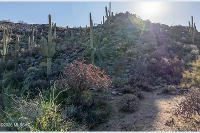3540 W Adobe Ruins Place #8, Marana, AZ 85658 - Photo 49