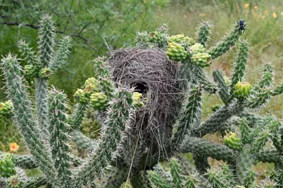 000 Poorwill Canyon Court #28, Tubac, AZ 85646 - Photo 11