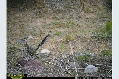 Tbd S Acacia Lane #47, Portal, AZ 85632 - Photo 15