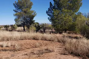 7853 E Chippewa St, Hereford, AZ 85615 - Photo 3