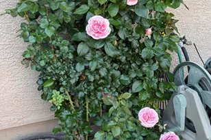 8449 S Gupta Dr, Tucson, AZ 85747 - Photo 43