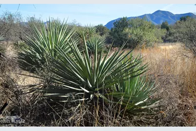 3 Camino La Paz #3B, Patagonia, AZ 85624 - Photo 9
