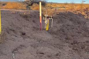 4842 W Gleeson Rd, Elfrida, AZ 85610 - Photo 47