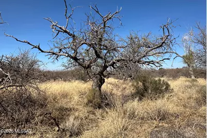 6.6 Acres Off W Linda Vista Road, Oracle, AZ 85623 - Photo 25