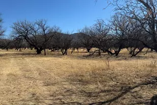 000 N Address, Nogales, AZ 85621 - Photo 1