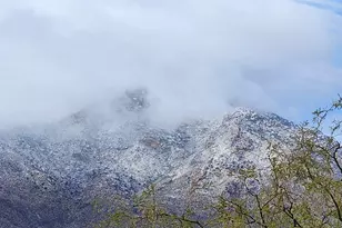 12440 S Coleman Rd, Tucson, AZ 85735 - Photo 39