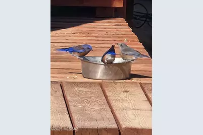 12440 S Coleman Road, Tucson, AZ 85735 - Photo 37