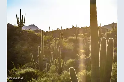14980 N Slippery Ridge Loop N #414, Tucson, AZ 85755 - Photo 3