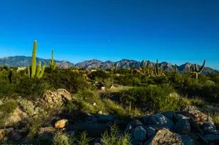 14980 N Slippery Ridge Loop N, Tucson, AZ 85755 - Photo 1