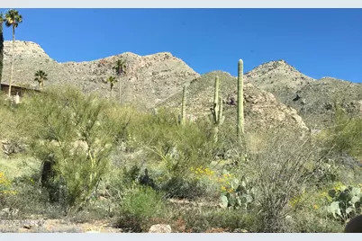 5251 E Mission Hill Drive #yucca 3, Tucson, AZ 85718 - Photo 25