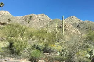 5251 E Mission Hill Dr, Tucson, AZ 85718 - Photo 25