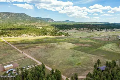42856 US Highway 180, Alpine, AZ 85920 - Photo 7