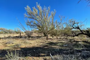 15879 W Bolo Pl, Tucson, AZ 85736 - Photo 5