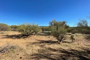 15879 W Bolo Pl, Tucson, AZ 85736 - Photo 7