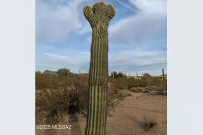 12417 W Nolen Road #0, Tucson, AZ 85743 - Photo 11