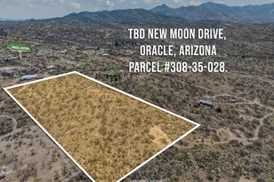 Tbd N New Moon, Oracle, AZ 85623 - Photo 1