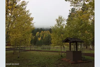 31 County Road, Greer, AZ 85927 - Photo 23