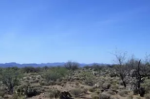 14987 S Carlsburg Ave, Tucson, AZ 85736 - Photo 1