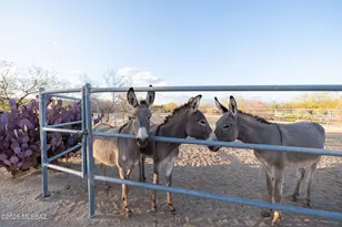 17300 S Camino Cartagena, Sahuarita, AZ 85629 - Photo 43