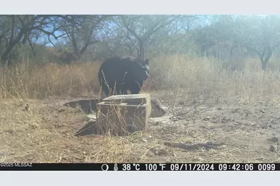 Tbd Harshaw Road #Lot 2, Patagonia, AZ 85624 - Photo 43