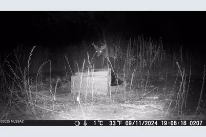 Tbd Harshaw Road #Lot 2, Patagonia, AZ 85624 - Photo 45