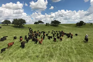 000 Forest Road 4748 Rd, Patagonia, AZ 85624 - Photo 31