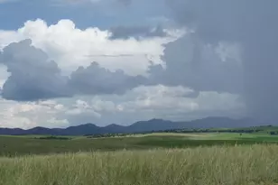 000 Forest Road 4748 Rd, Patagonia, AZ 85624 - Photo 3