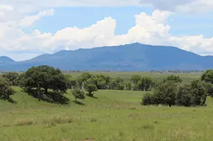 000 Forest Road 4748 Rd, Patagonia, AZ 85624 - Photo 13