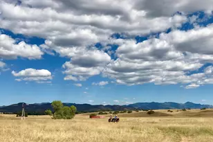000 Forest Road 4748 Rd, Patagonia, AZ 85624 - Photo 11
