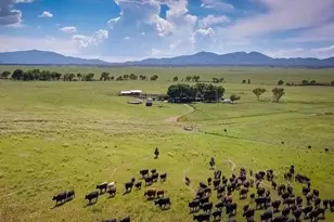 000 Forest Road 4748 Rd, Patagonia, AZ 85624 - Photo 33