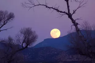 000 Forest Road 4748 Rd, Patagonia, AZ 85624 - Photo 37