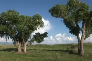 000 Forest Road 4748 Rd, Patagonia, AZ 85624 - Photo 15