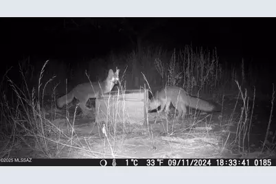 Tbd Harshaw Road #Lot 3, Patagonia, AZ 85624 - Photo 43