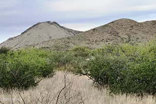 Lot 153 N Bear Run, Saint David, AZ 85630 - Photo 7